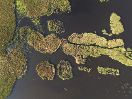 Aerial view captures expansive wetlands with patches of grass and calm water reflecting midday sunlight.の写真素材