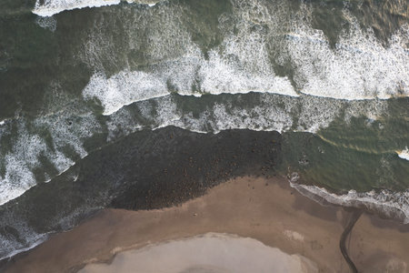 Ocean coastline with small waves above top drone view