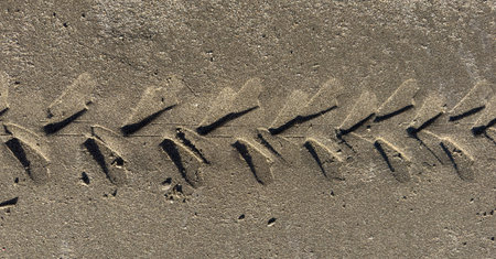 Beneath bright sun, tire tracks in sand create intricate patterns along beach, highlighting low tide.の写真素材