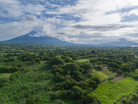 Green landscape of Ometepe island aerial drone view on bright sunny dayの写真素材
