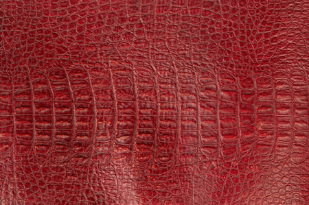 Red crocodile leather texture macro close up viewの写真素材