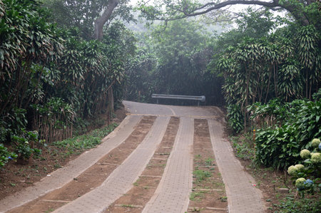 Winding pathway lined with vibrant plants leads to turn, creating peaceful retreat amidst nature.の写真素材