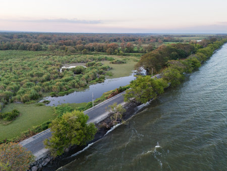 Road between  lake and swamp aerial drone viewの写真素材