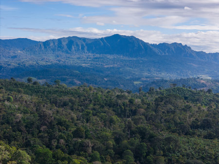 Expansive view of dense forest and majestic mountains under blue sky with scattered clouds during...