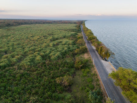Empty road next to lake shore aerial drone viewの写真素材