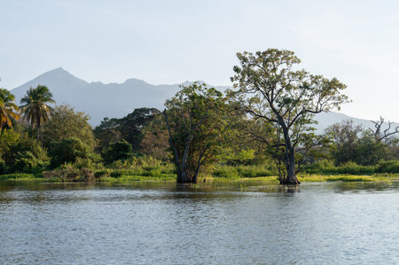 Green trees in lake on Mombacho volcano landscape background