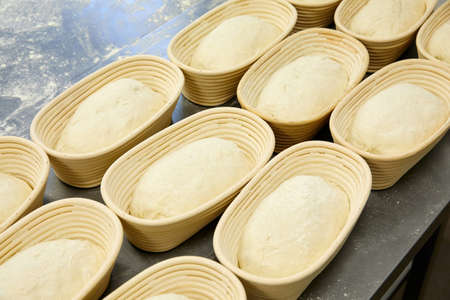 Bread making process, bread dough in a row at the bakeryの写真素材