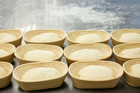 Bread making process, bread dough in a row at the bakeryの写真素材