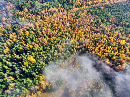 autumn forest with fog and clouds from the airの写真素材