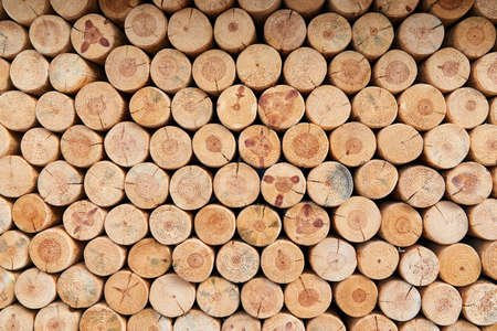 a wall of many felled tree trunks lying on top of each otherの写真素材
