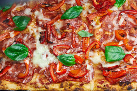 pizza topping with basil, pepper, cheese, ham, seasonings, tomatoes, ketchup close-upの写真素材