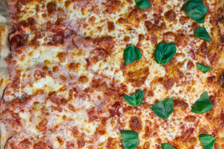 pizza topping with basil, pepper, cheese, ham, seasonings, tomatoes, ketchup close-upの写真素材