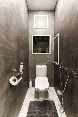 Russia, Moscow, 08.03.2019, toilet interior, in gray tones, with a white toilet, carpetのeditorial素材