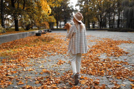 a girl walks through the leaves in autumn with a dog in her armsの写真素材