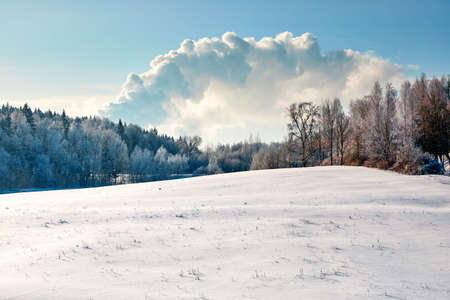 Snowy landscape with forest and large air cloud on blue skyの写真素材