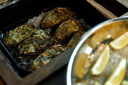 Fresh closed oysters in ice with lemon in a trayの写真素材