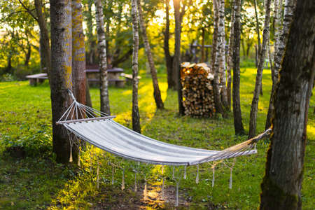 Empty hammock with tinsels between trees trunks in parkの写真素材
