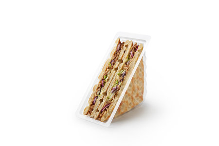 Tuna sandwiches with onion and pitas in plastic containerの写真素材