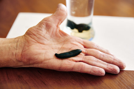Man puts hand on wooden table near glass with freshwater worm showing black leech. Bloodsucker lies on wrinkled palm of pensioner on blurred background closeupの写真素材