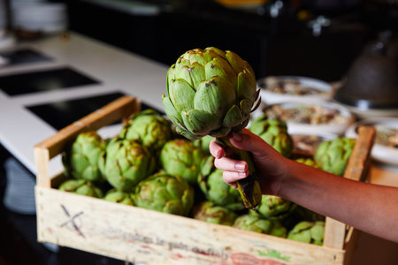 Cook hand demonstrates edible flower bud of amazing exotic artichoke in kitchen. Green plant attracts attention of luxury restaurant guestsの写真素材