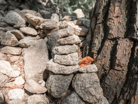 The yellow leaf that fell from the tree lies on the stones. Seoul, Korea, autumn 2019の写真素材