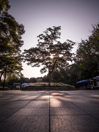 Autumn park in Seoul. Beautiful nature in the morning.