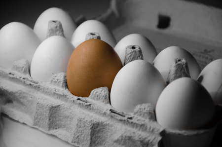 White chicken eggs with one brown in front. Black backgroundの写真素材
