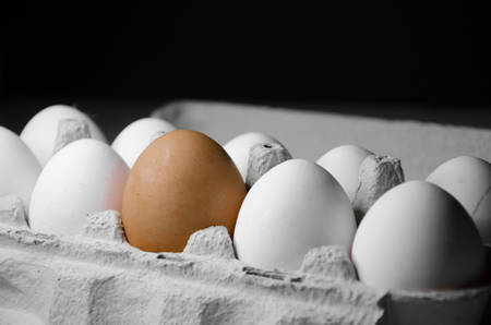 White chicken eggs with one brown in front. Black backgroundの写真素材