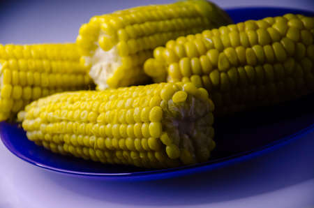 Fresh yellow corn on the purple dishの写真素材