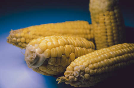 Fresh yellow corn on the purple dishの写真素材