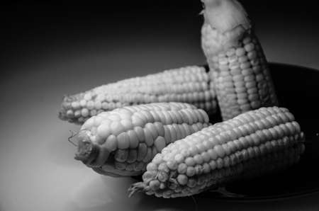 Fresh yellow corn on the purple dish. Grayscale photoの写真素材