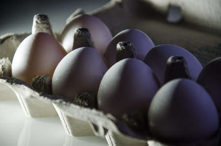 Closeup of white chicken eggs on the white tableの写真素材