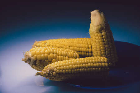 Fresh yellow corn on the purple dishの写真素材