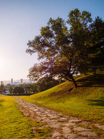 Morning park in Seoul. Beautiful sunrise. Nature backgroundの写真素材