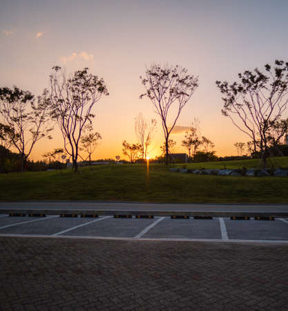 Morning park in Seoul. Beautiful sunrise. Nature backgroundの写真素材
