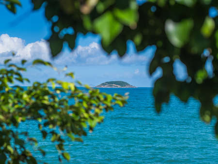 Abandoned island behind the green leaves. Nature background. Island in oceanの写真素材