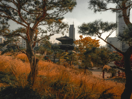 SEOUL / SOUTH KOREA - 10.30.2019: National architecture of Seoul, preserved to this day. Beautiful autumn viewのeditorial素材