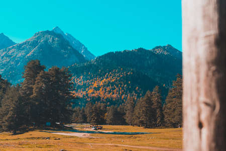 Autumn landscape, trees on the background of mountains, mountains, natureの写真素材