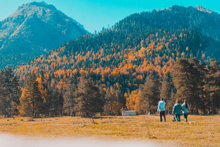 Autumn landscape, trees on the background of mountains, mountains, natureの写真素材