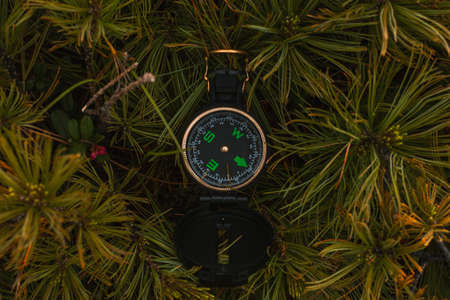 Travel, hiking, orienteering and navigation concept - black magnetic compass lies in pine branches, close-upの写真素材