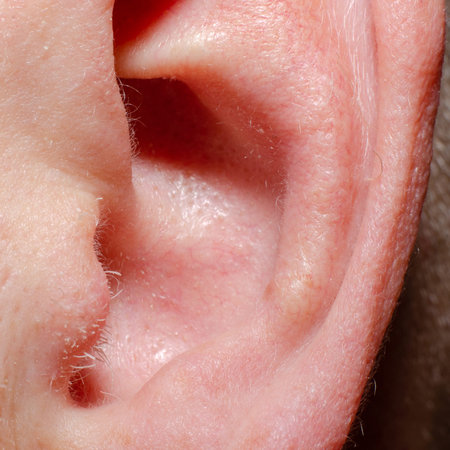 human ear close-up on a light background