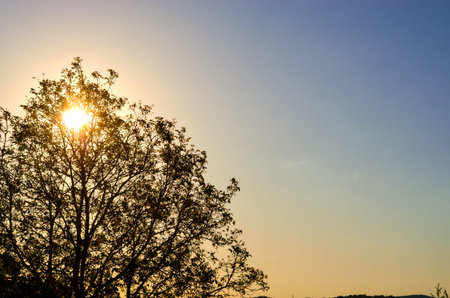 Sunrise in Germany against blue sky and green treeの写真素材