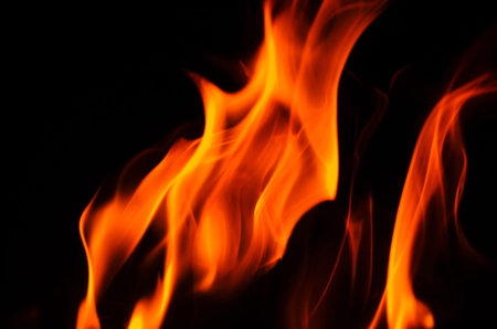 The fiery orange and yellow hues of the flames contrast beautifully with the deep black backdrop,...