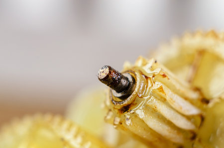 This macro shot reveals the intricate design of a gear, highlighting its central shaft and surrounding teethの写真素材