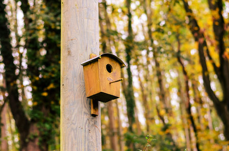 A charming birdhouse is mounted on a wooden pole, surrounded by the warm colors of fall foliage
