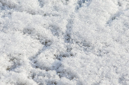 Close-up of bird footprint in white snow during winter symbolizing life trace and minimal nature...