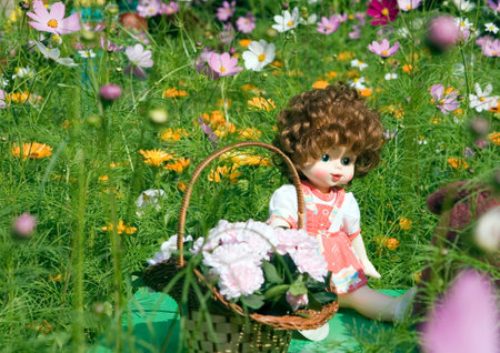 Doll on a glade of colorsの写真素材