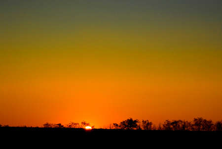 Beautiful sunset background in gold color. the sun sets behind the trees on the horizonの写真素材
