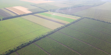 strips of fields aerial view. shooting from a quadrocopter. view of beautiful nature