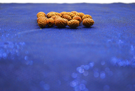 small pine cones on a blue background. christmas, new year, holiday, winter, cones, trees, pine